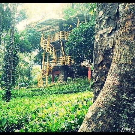Jungle Jive Treehouse And Farm House Munnar Eksteriør bilde
