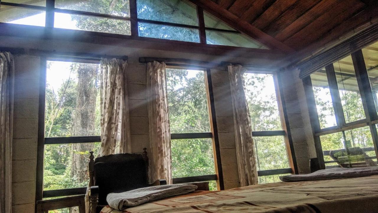 Jungle Jive Treehouse And Farm House Munnar Eksteriør bilde