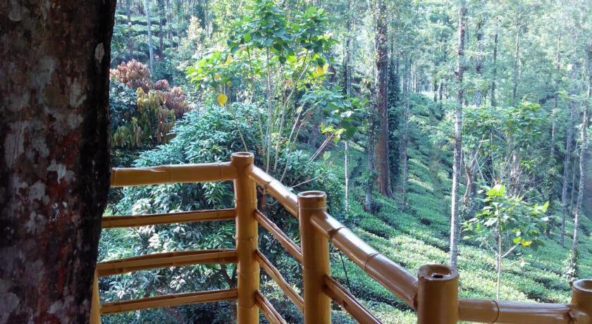 Jungle Jive Treehouse And Farm House Munnar Eksteriør bilde