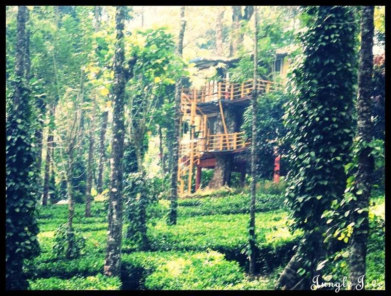 Jungle Jive Treehouse And Farm House Munnar Eksteriør bilde