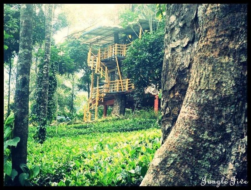 Jungle Jive Treehouse And Farm House Munnar Eksteriør bilde