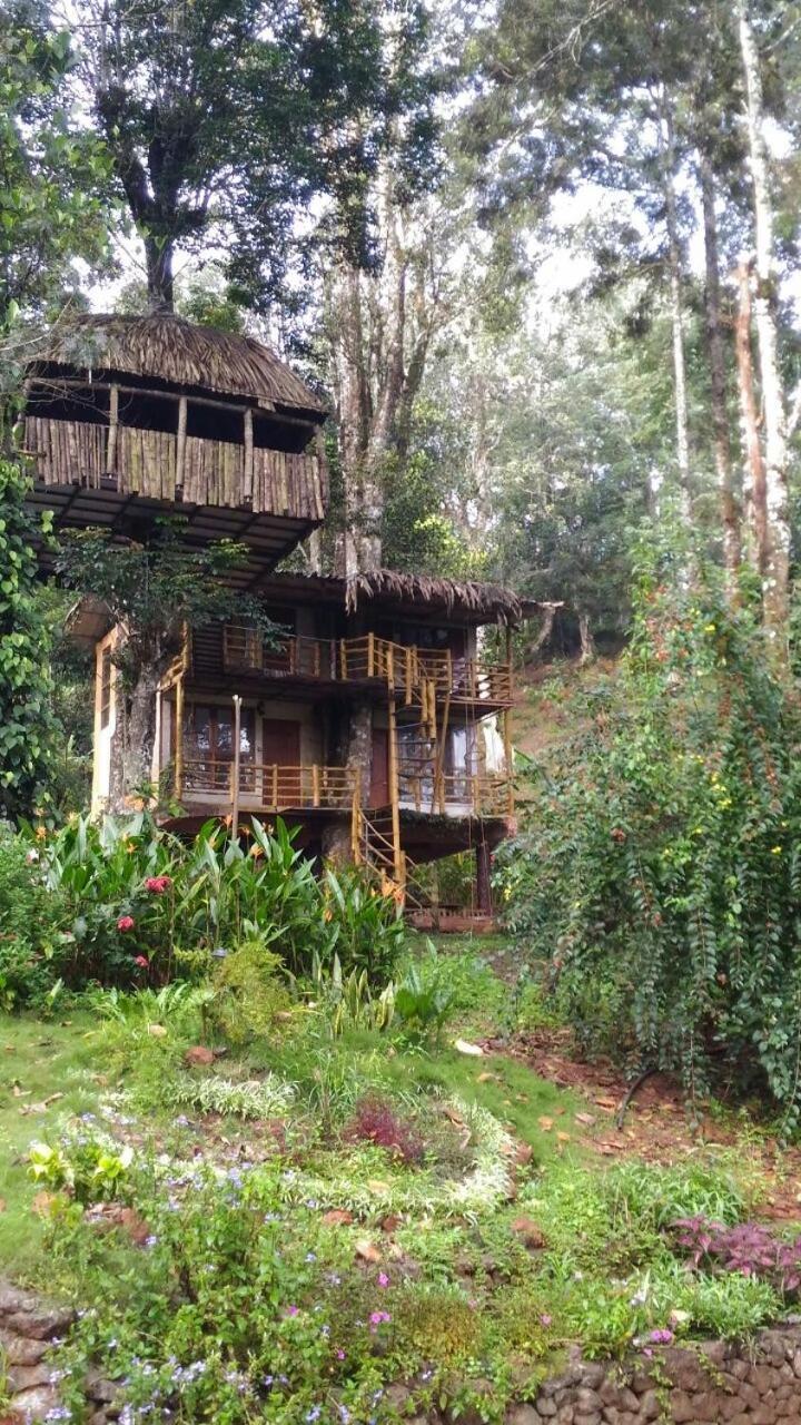 Jungle Jive Treehouse And Farm House Munnar Eksteriør bilde