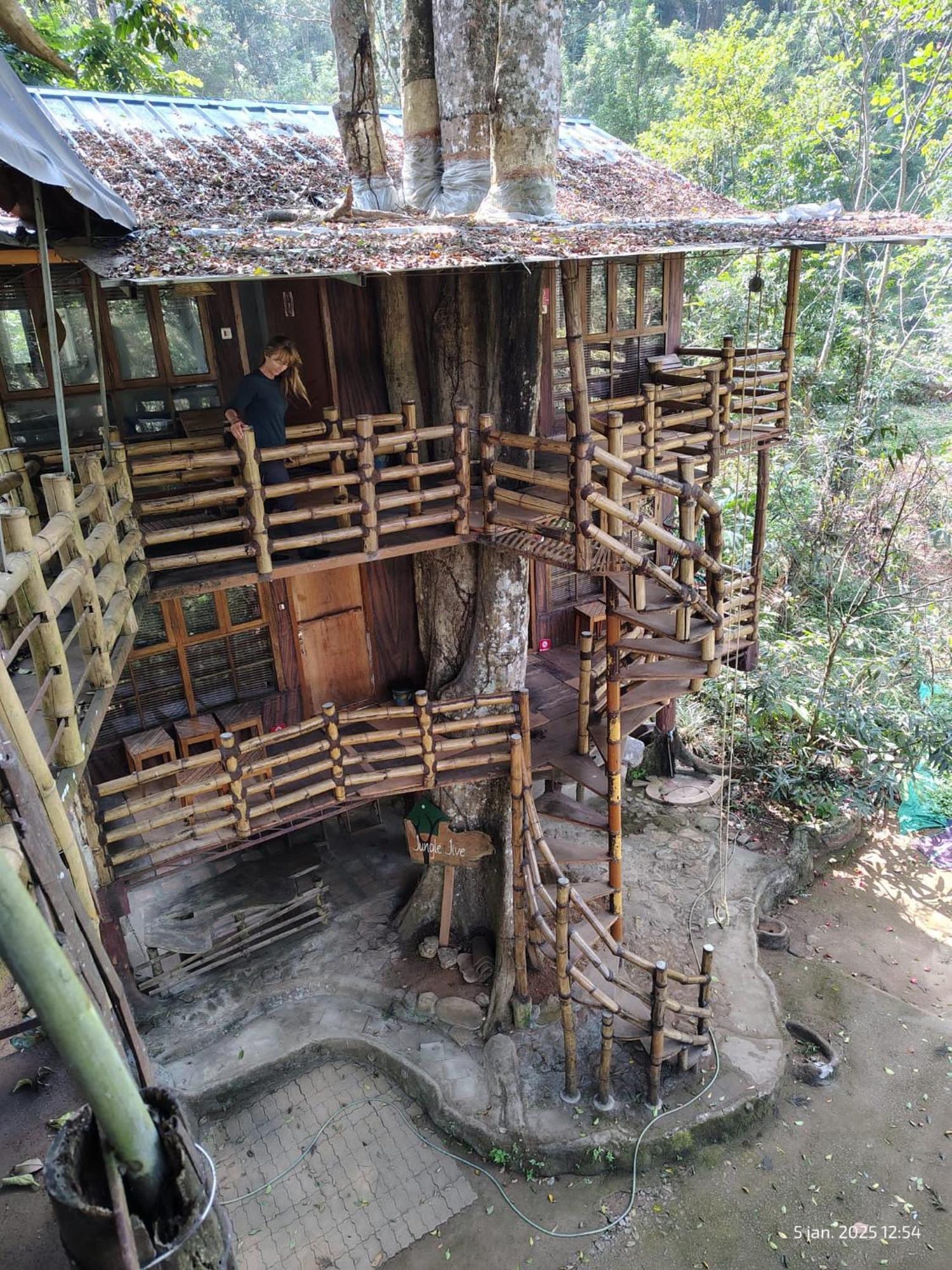 Jungle Jive Treehouse And Farm House Munnar Eksteriør bilde