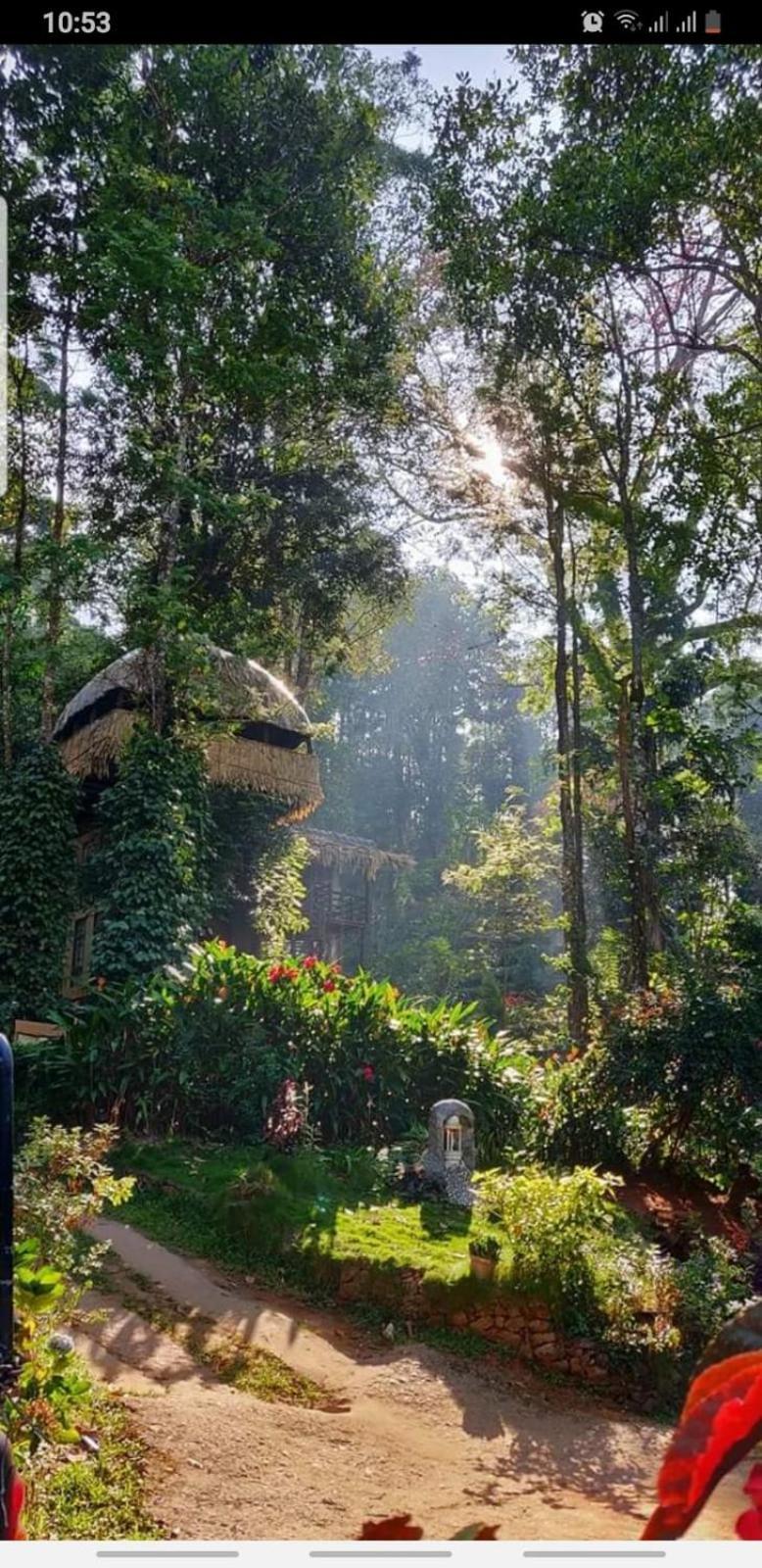 Jungle Jive Treehouse And Farm House Munnar Eksteriør bilde