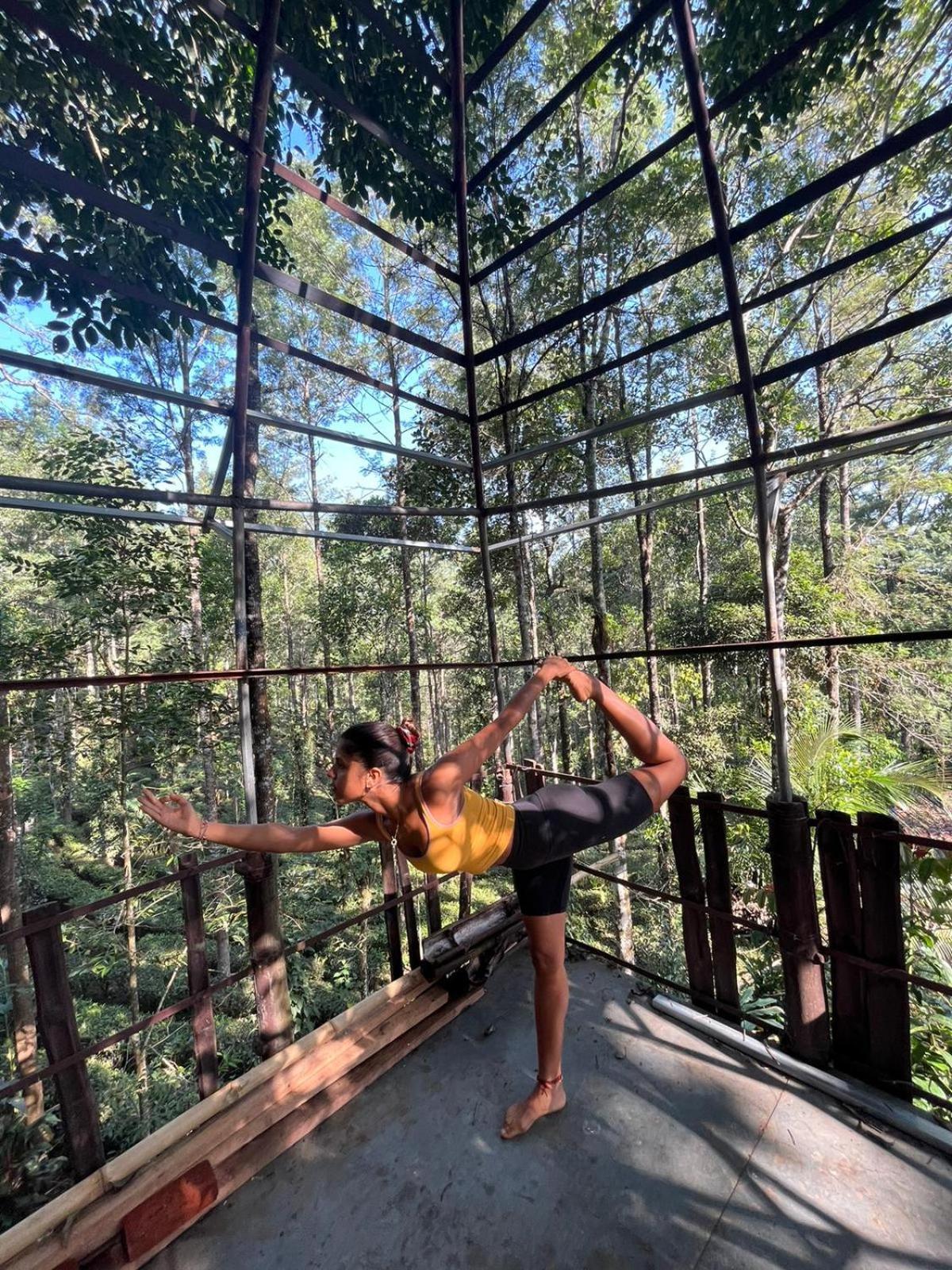 Jungle Jive Treehouse And Farm House Munnar Eksteriør bilde